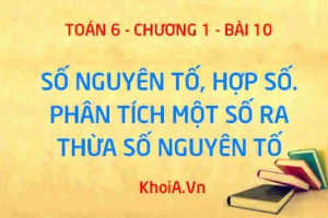 Số nguyên tố là gì? Hợp số là gì? Cách phân tích một số ra thừa số nguyên tố - Lý thuyết Toán 6 bài 10